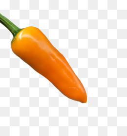 260x280 Pepper Png - Hot Pepper Drawing