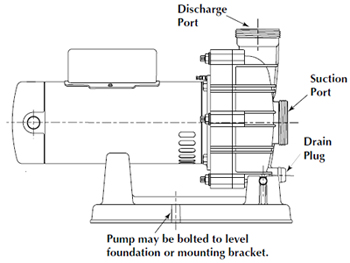 350x263 Spa Pump Replacement Guide - Hot Tub Drawing