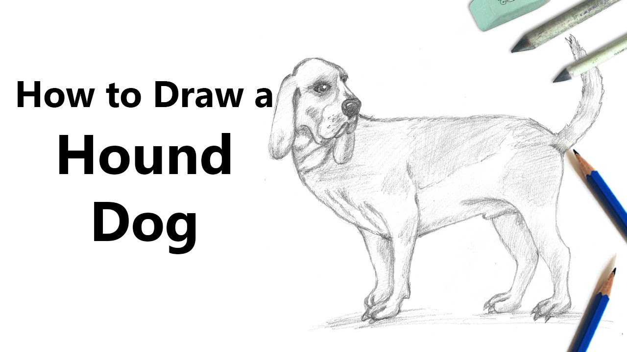 1280x720 how to draw a hound dog with pencils - Hound Dog Drawing