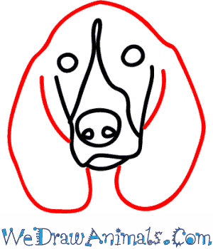 300x350 how to draw a hound dog - Hound Dog Drawing