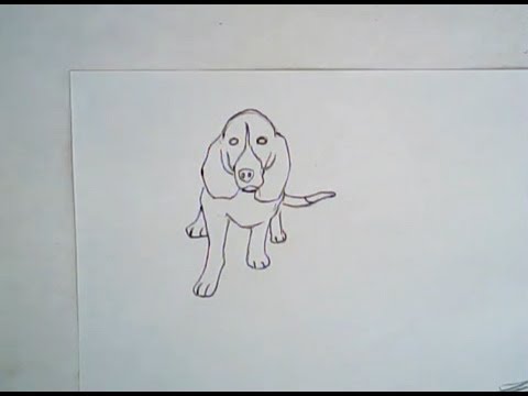 480x360 how to draw a hound dog - Hound Dog Drawing