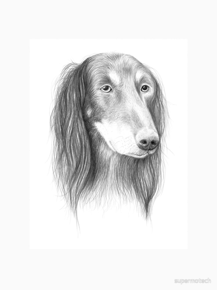 750x1000 saluki hound dog sketch drawing t shirt - Hound Dog Drawing