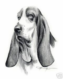 Hound Dog Drawing at PaintingValley.com | Explore collection of Hound ...