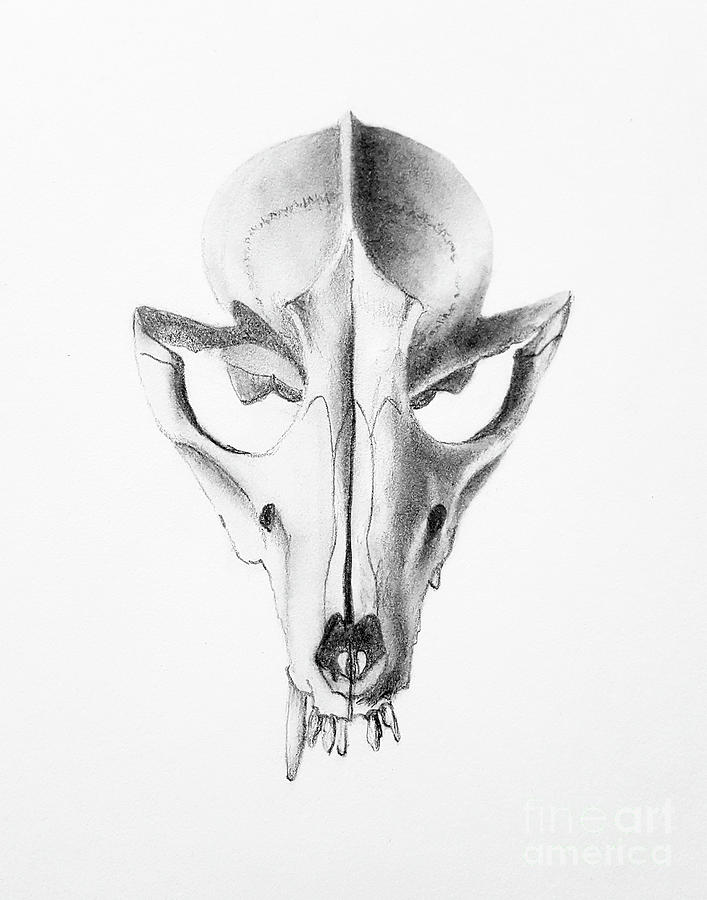 707x900 halloween hound drawing - Hound Drawing