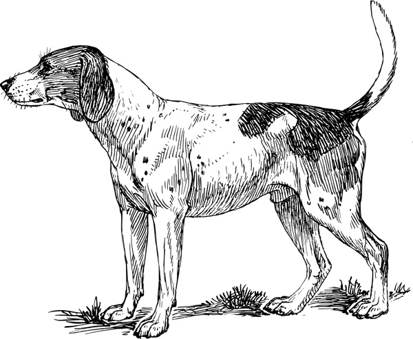 600x493 hound free vector in open office drawing - Hound Drawing
