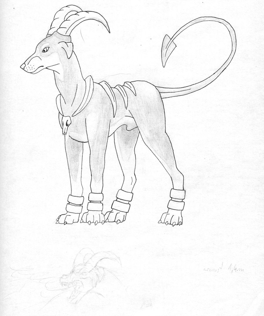 900x1074 Houndoom Draw And Sketch - Houndoom Drawing