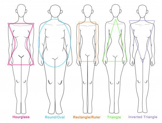 520x395 drawing the human figure shapes, sizes body types hubpages - Hourglass Figure Drawing