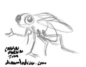 300x232 housefly drawn to draw - House Fly Drawing
