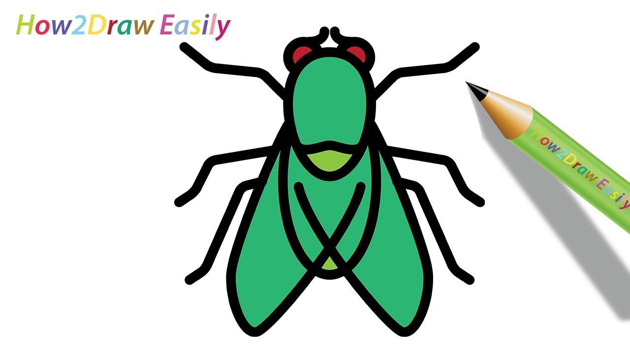 1280x720 How To Draw A Fly Easy Drawing - House Fly Drawing