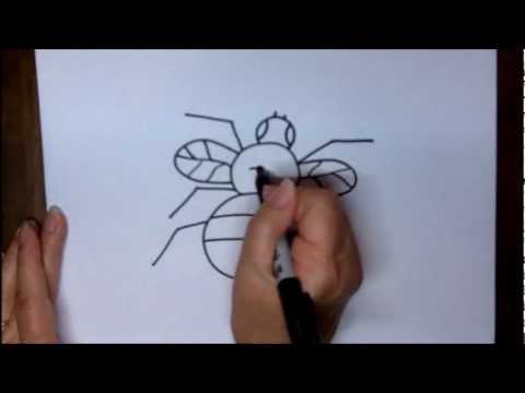 480x360 How To Draw A Fly Step - House Fly Drawing