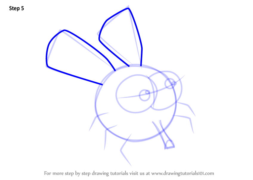848x602 Learn How To Draw House Fly For Kids - House Fly Drawing