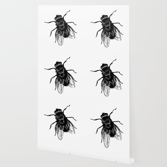700x700 Drawing House Fly Wallpaper - House Fly Drawing