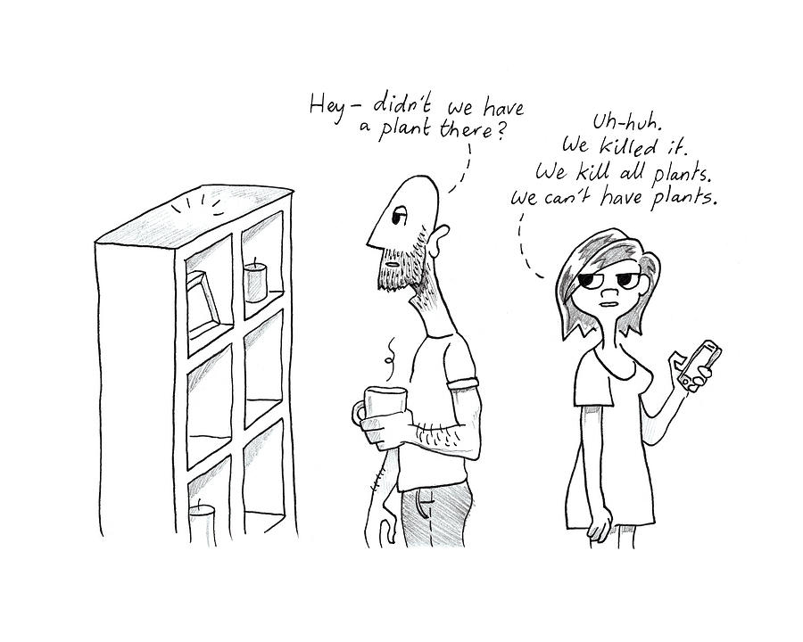 900x720 House Plants Drawing - House Plant Drawing