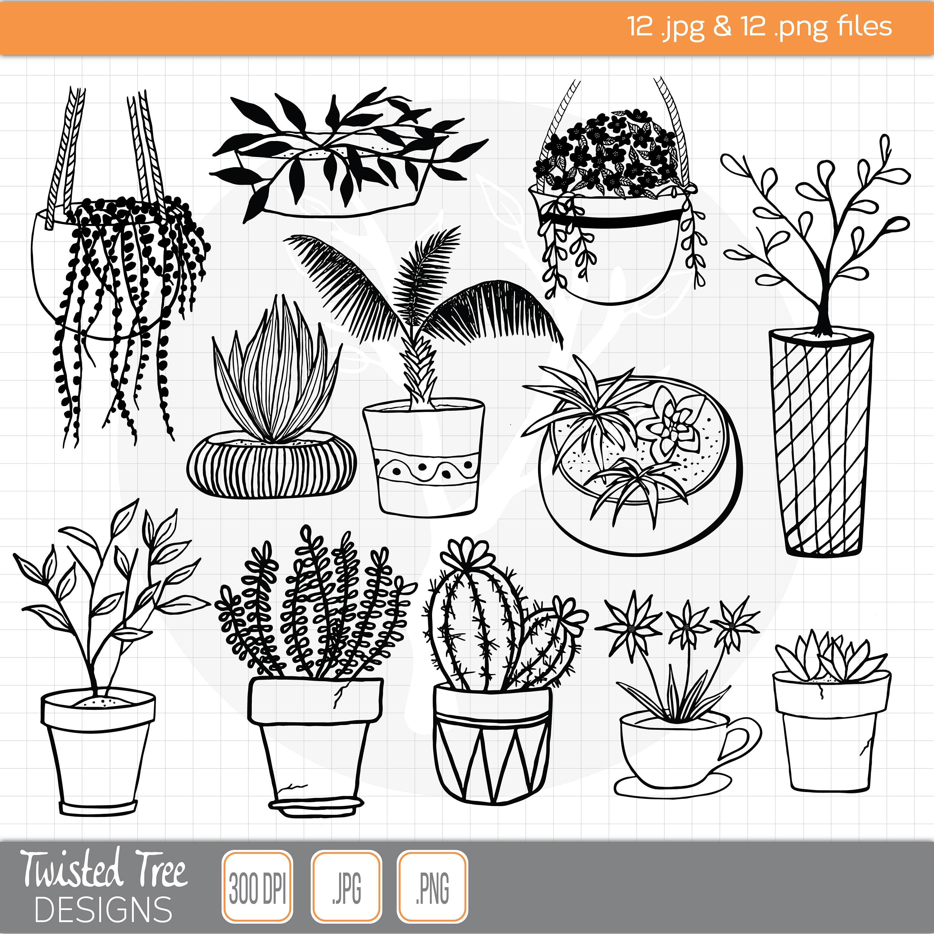 3000x3000 Hand Drawn House Plant Doodles Clipart For Diy Etsy - House Plant Drawing