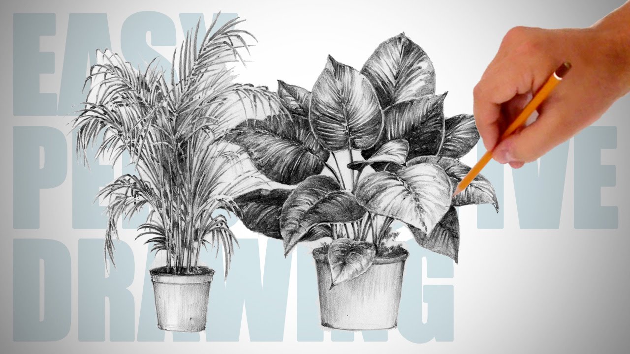 1280x720 How To Draw Plants - House Plant Drawing