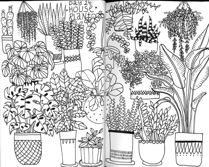 700x559 Klika Design Creativebug Drawing Challenge With Lisa Congdon Day - House Plant Drawing
