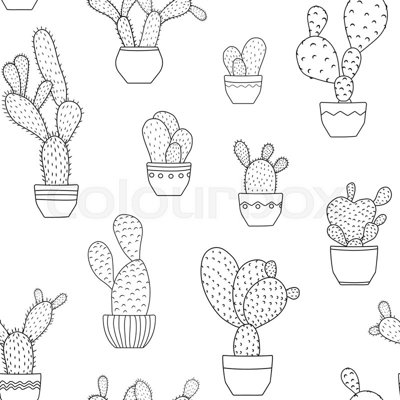 800x800 Potted Cactus House Plants Desert Stock Vector Colourbox - House Plant Drawing
