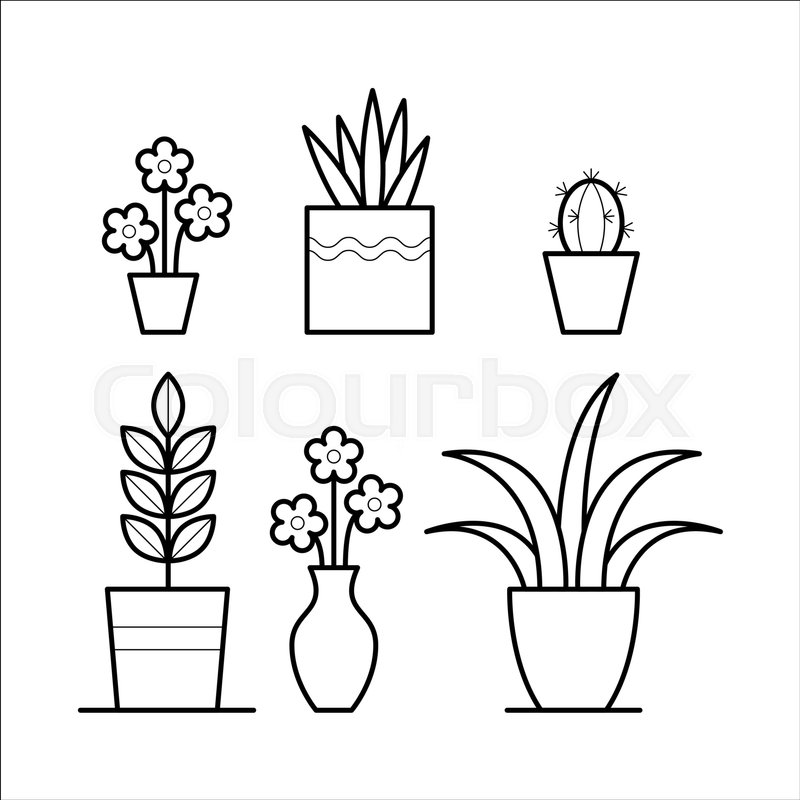 800x800 Set Of House Plants With Flower, Stock Vector Colourbox - House Plant Drawing