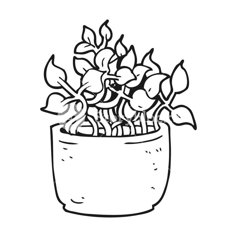 1000x1000 Freehand Drawn Black And White Cartoon House Plant Royalty Free - House Plant Drawing