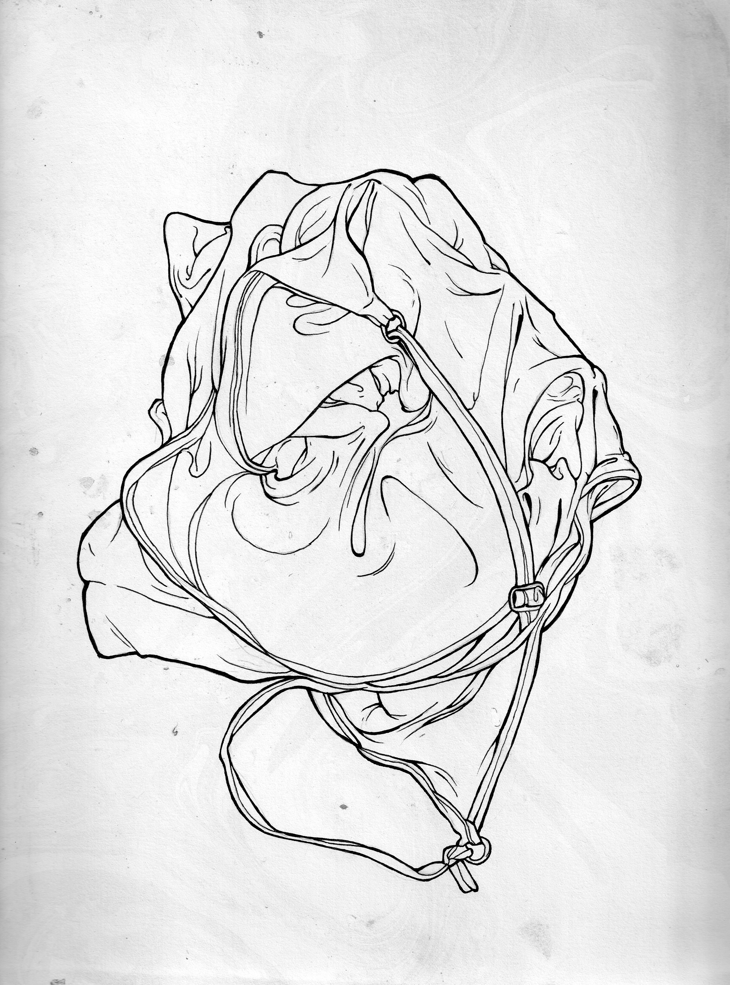 2508x3385 Texas - Houston Texas Drawings