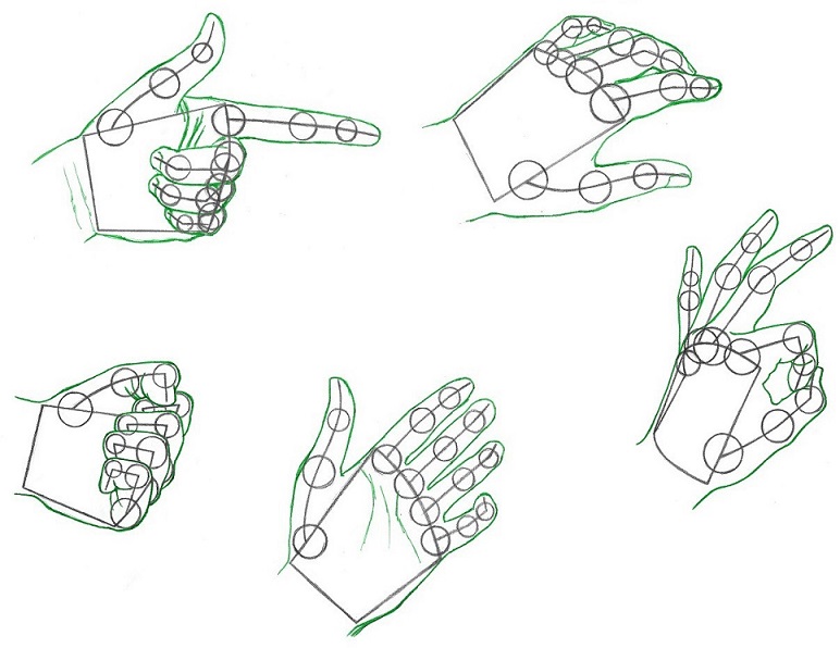 772x596 How To Draw Hands Part Construction Rapidfireart - How Drawing