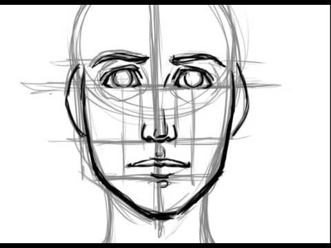 480x360 How To Draw A Face Basic Proportions - How Drawing A Face Youtube