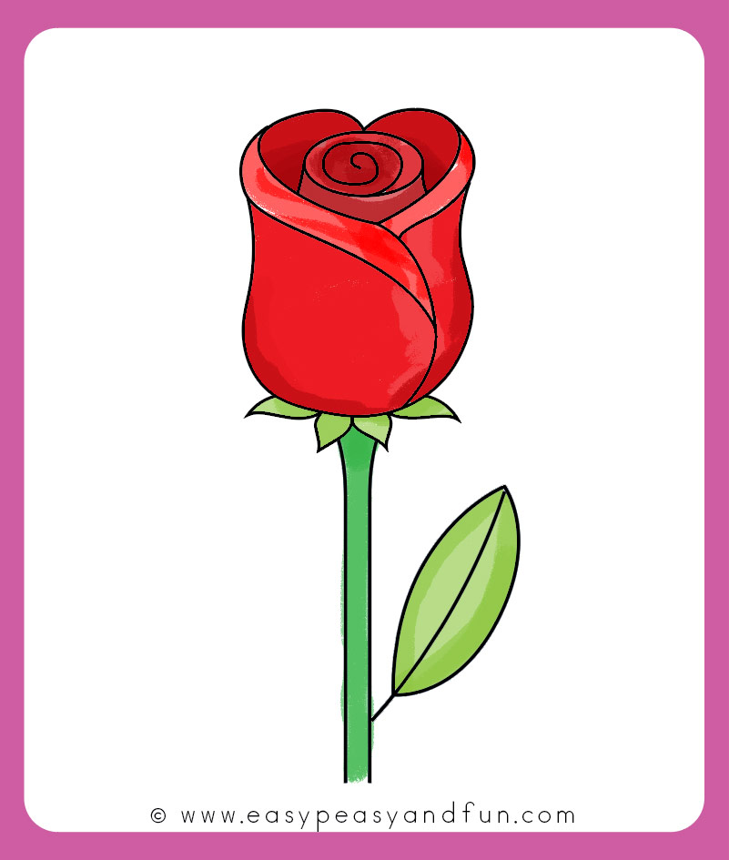 801x945 How To Draw A Rose - How Drawing A Rose