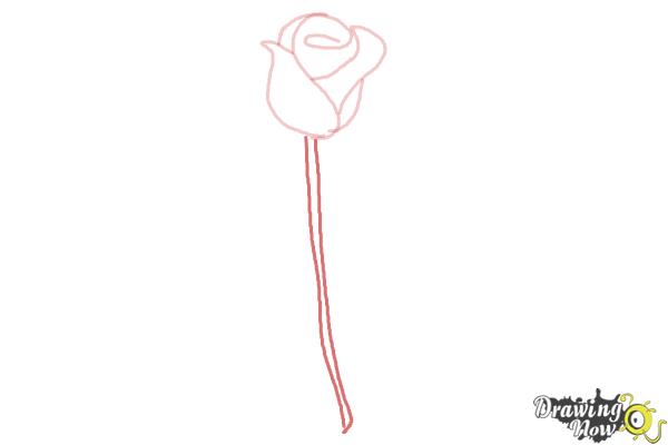 600x400 How To Draw A Rose Step - How Drawing A Rose
