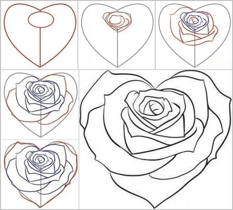 774x700 How To Draw A Rose From A Heart Roses Drawings, Art, Drawing - How Drawing A Rose