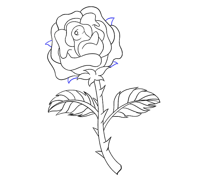 678x600 How To Draw A Rose In A Few Easy Steps Easy Drawing Guides - How Drawing A Rose