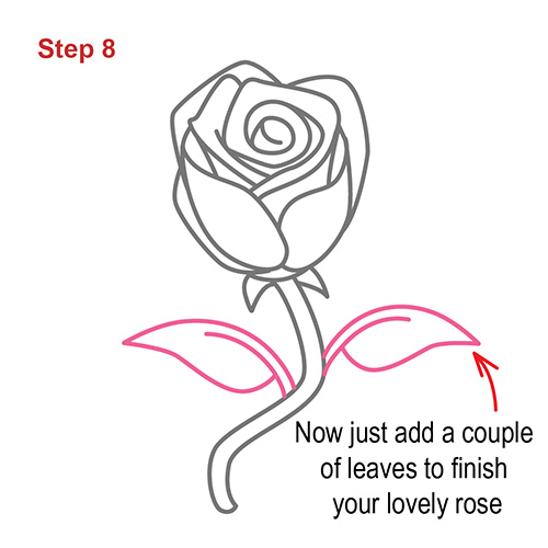 500x500 How To Draw How To Draw A Rose Step - How Drawing A Rose