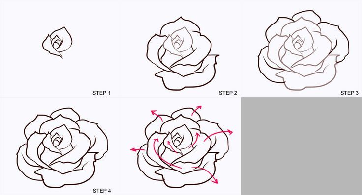 736x398 Drawing A Rose Realistic - How Drawing A Rose