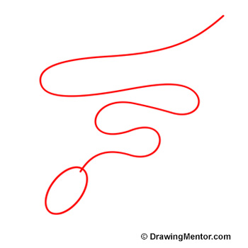 350x350 How To Draw A Snake - How Drawing How Drawing