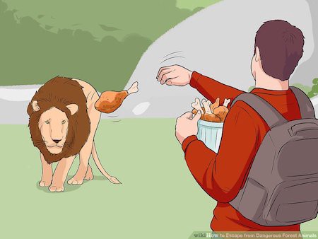 450x338 The Strangest, Most Insanely Beautiful Images On Wikihow - How Drawing Wikihow