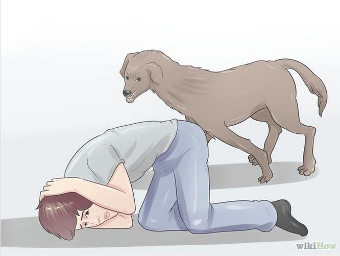 666x501 Who Draws The Illustrations On Wikihow Nostupidquestions - How Drawing Wikihow