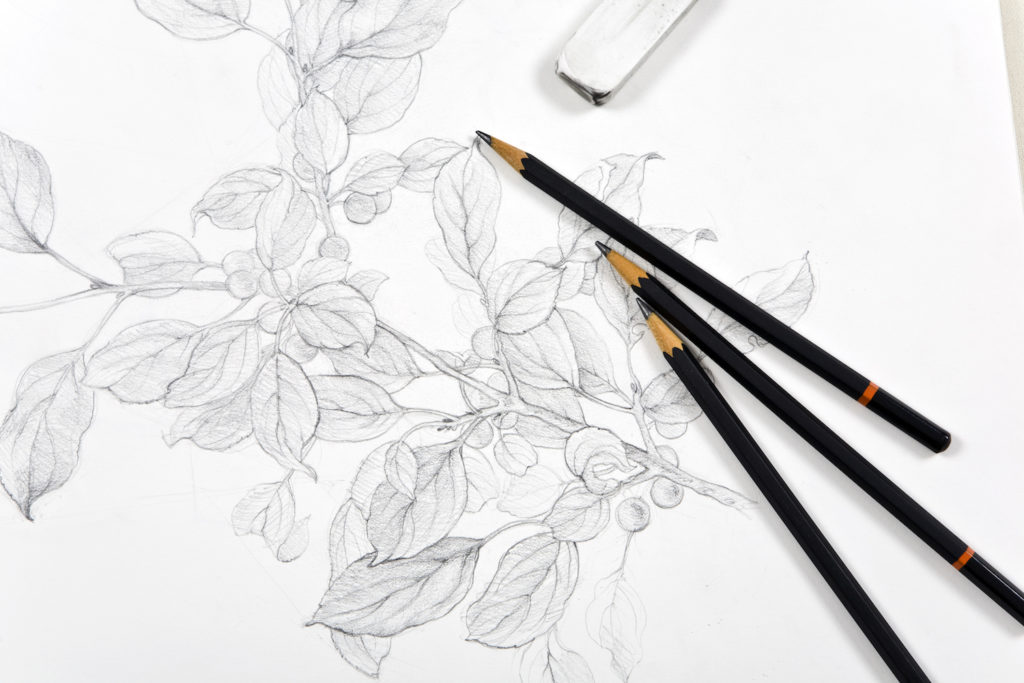 1024x683 Learning To Draw With Graphite Pencil Here's What You Need To Know - How To Draw Pencil Drawing