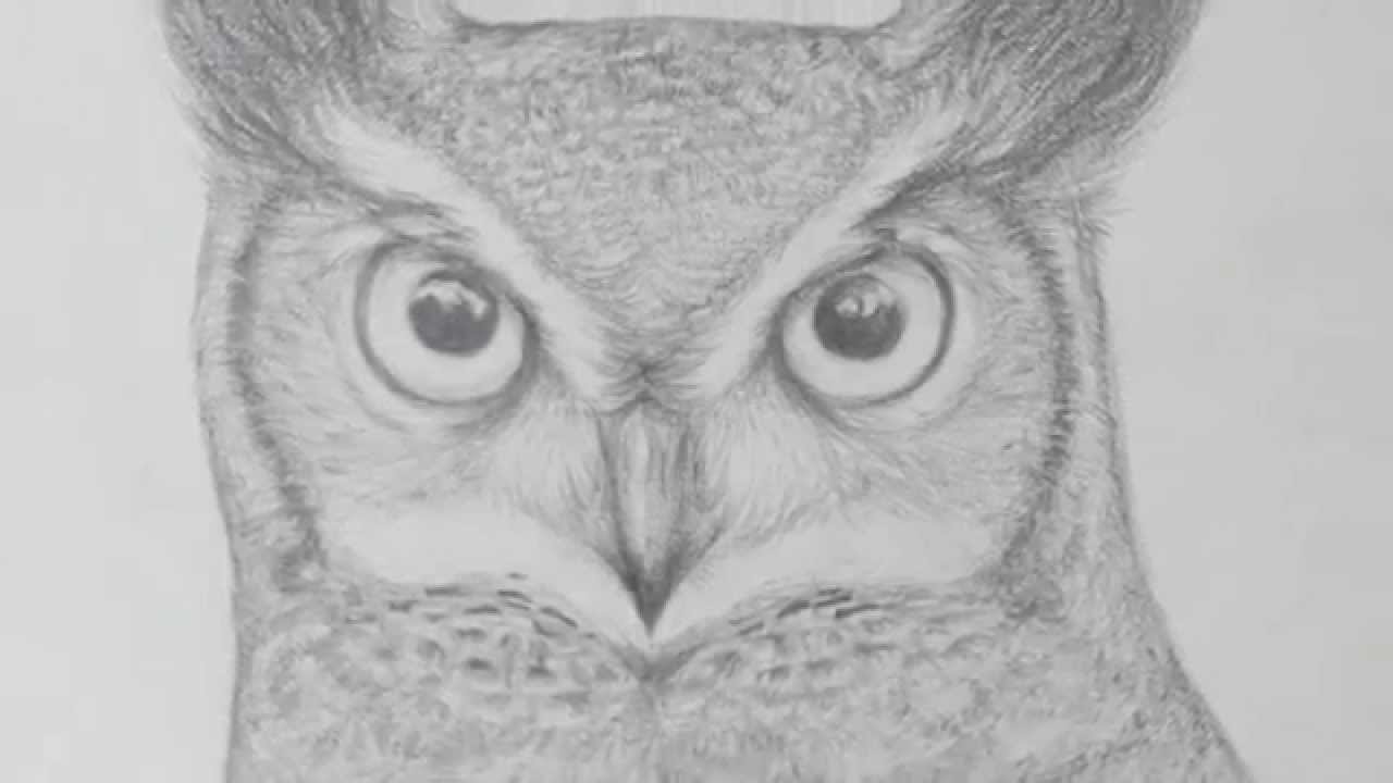 1280x720 Pencil Owl Drawing - How To Draw Pencil Drawing