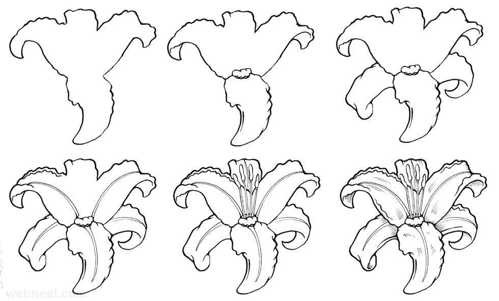 980x592 Drawing Pictures Of Flowers That Are Easy Beautiful Flower - How To Make A Beautiful Flower Drawing