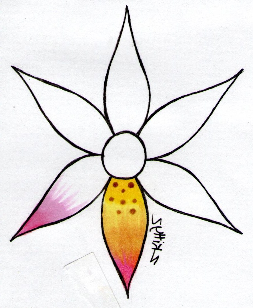 885x1076 Easy Beautiful Flowers Drawing - How To Make A Beautiful Flower Drawing