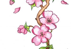 300x210 a image of sketch beautiful flowers beautiful flower drawing - How To Make A Beautiful Flower Drawing
