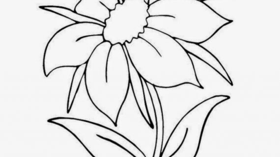 570x320 Nice Flowers To Draw Easy - How To Make A Beautiful Flower Drawing
