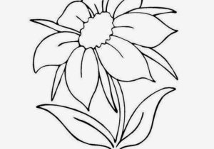300x210 Beautiful Flower Drawings Step - How To Make A Beautiful Flower Drawing
