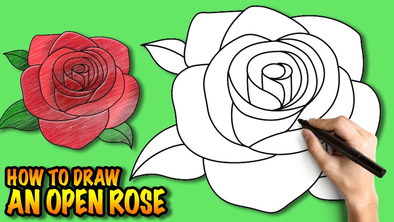 1280x720 How To Draw An Open Rose - How To Make A Rose Drawing Step By Step