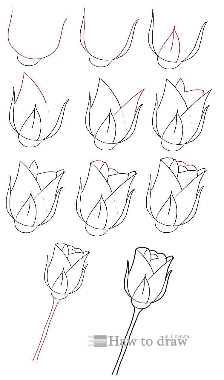 How To Make A Rose Drawing Step By Step at PaintingValley.com | Explore ...