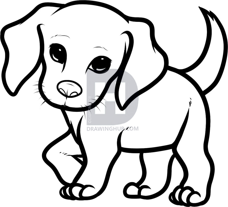 793x720 how to draw a beagle puppy, beagle puppy, step - How To Make Drawing