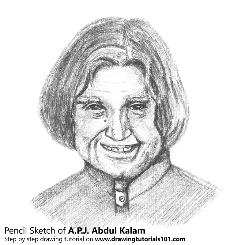 800x800 Apj Abdul Kalam Pencil Drawing - How To Pencil Drawing