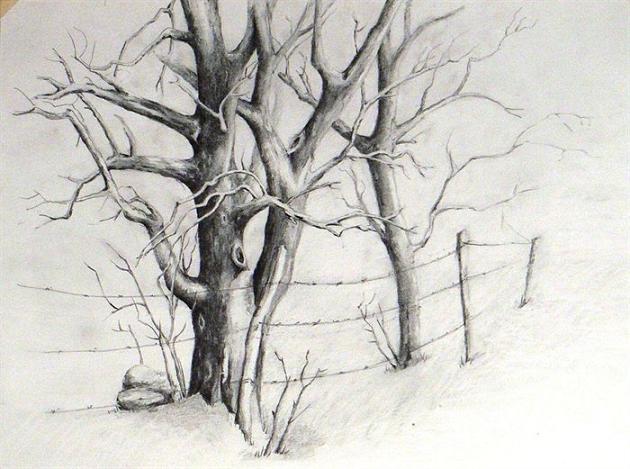 How To Pencil Drawing at PaintingValley.com | Explore collection of How ...