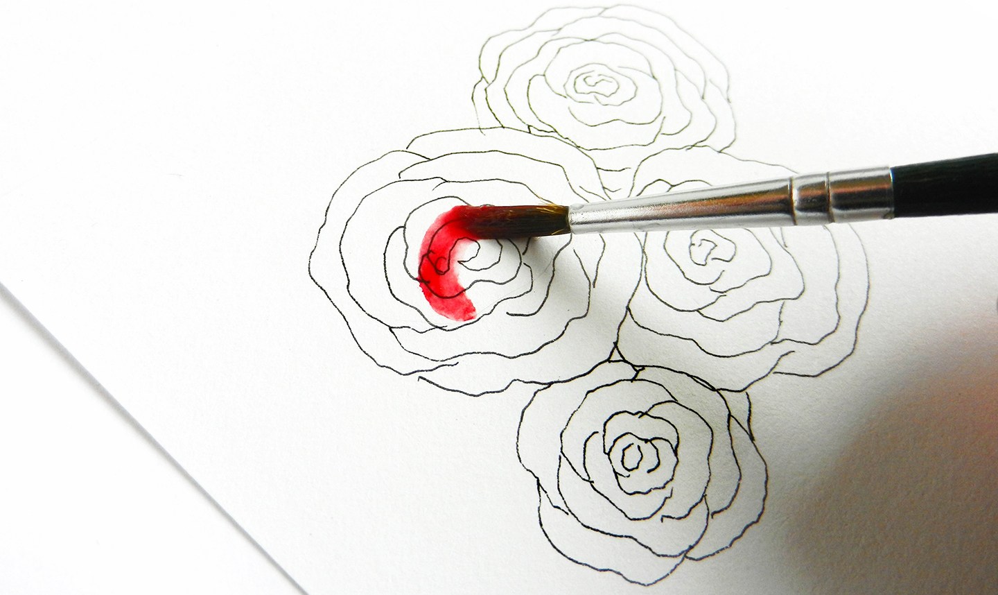 1440x858 How To Draw Roses The Postman's Knock - How To Shade A Rose Drawing