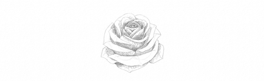 850x261 How To Draw A Rose - How To Shade A Rose Drawing