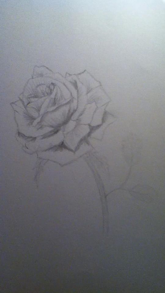 540x960 How To Use Shading Techniques - How To Shade A Rose Drawing